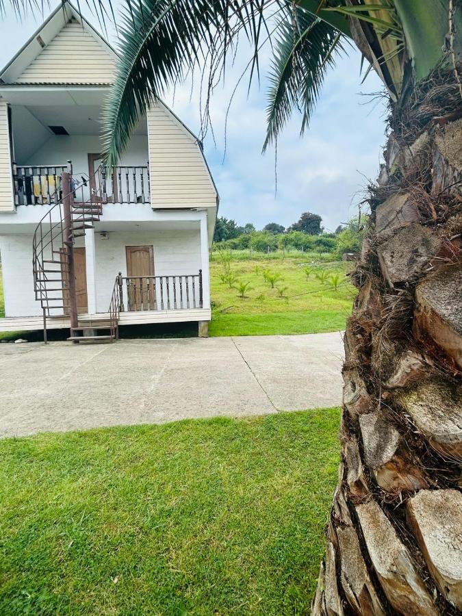 New Athos Guesthouse On Topchan 17 المظهر الخارجي الصورة