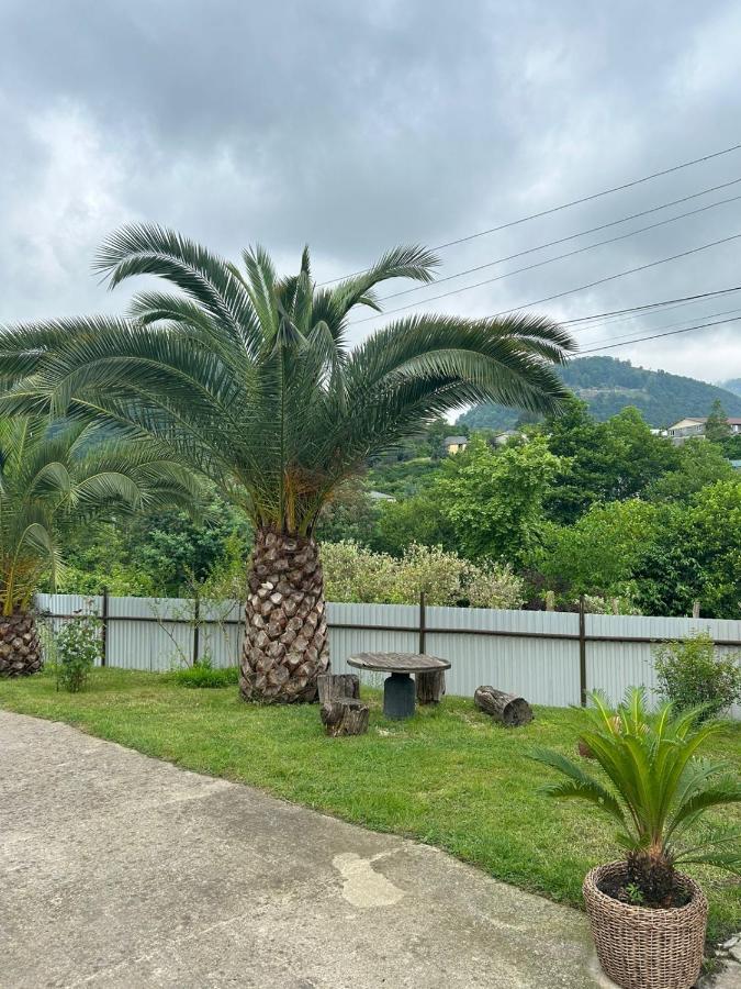 New Athos Guesthouse On Topchan 17 المظهر الخارجي الصورة